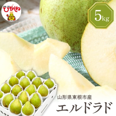 【令和7年産 先行受付】 エルドラド 5kg 山形県 東根農産センター提供　hi027-197-2