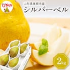 【令和7年産 先行受付】 シルバーベル 2kg 山形県 東根農産センター提供　hi027-200-2