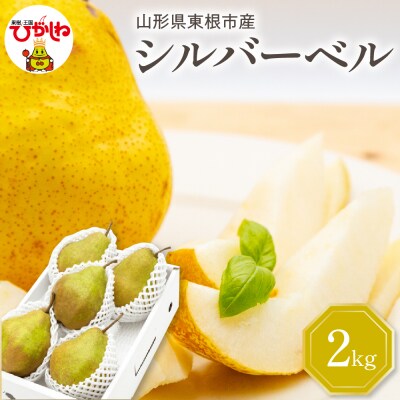 【2026年産】 西洋梨 シルバーベル 2kg 秀品 化粧箱入り hi027-199-r8