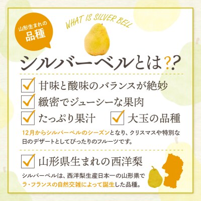 【2026年産】 西洋梨 シルバーベル 2kg 秀品 化粧箱入り hi027-199-r8
