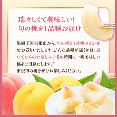 【2026年産】もも (品種おまかせ) 3kg JA提供 山形県 東根市 hi003-156