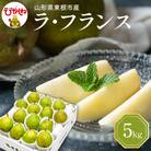 【令和7年産 先行受付】 ラフランス 5kg 山形県 東根農産センター提供　hi027-194-2