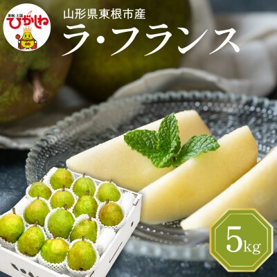 【2026年産】 西洋梨 ラフランス 5kg 秀品 化粧箱入り hi027-196-r8