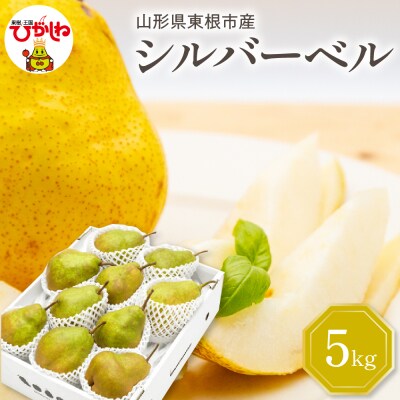 【2026年産】西洋梨 シルバーベル 5kg 秀品 化粧箱入り hi027-200-r8