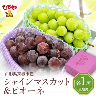 2026年ぶどう「シャインマスカット&ピオーネ 」各1房(計2房 約1.2kg) hi027-236