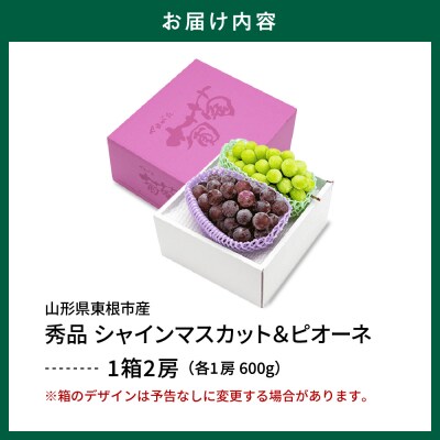 2026年ぶどう「シャインマスカット&ピオーネ 」各1房(計2房 約1.2kg) hi027-236