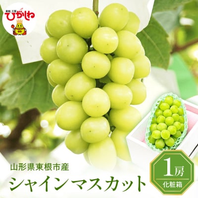 2026年ぶどう「シャインマスカット」1房(約600g) 東根農産センター提供 hi027-233
