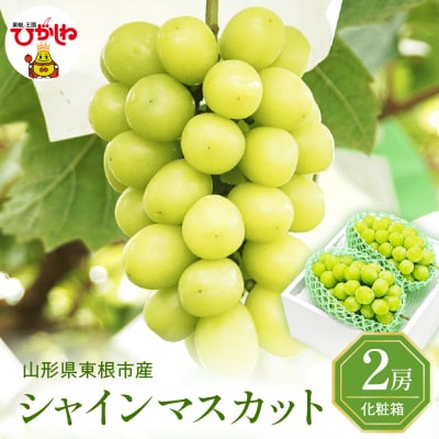2026年ぶどう「シャインマスカット」2房(約1.2kg) 東根農産センター提供 hi027-234