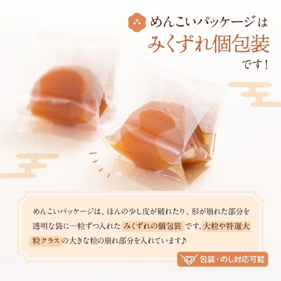 茜姫めんこいパッケージ26粒箱入り　有限会社壽屋提供 hi004-hi036-030r