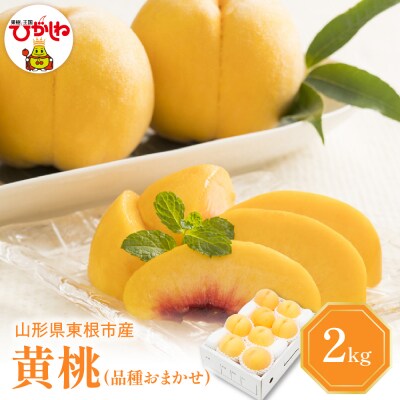 2025年産 黄桃 (品種おまかせ) 2kg 東根農産センター　東根市 hi027-152-2