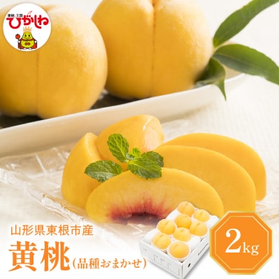 【2026年産】 黄桃 (品種おまかせ) 2kg 秀品 化粧箱入り hi027-260