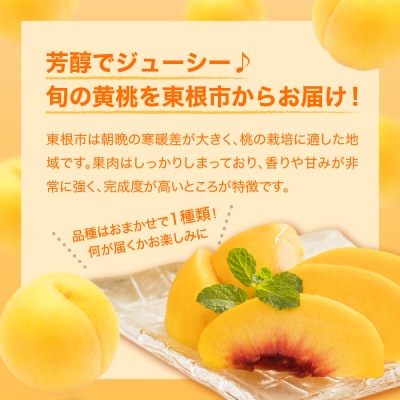 【2026年産】 黄桃 (品種おまかせ) 2kg 秀品 化粧箱入り hi027-260