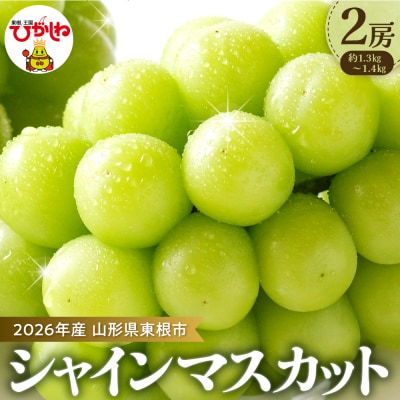 【2026年 先行受付】ぶどう「シャインマスカット」2房 (約1.3kg～1.4kg) 山形県 東根