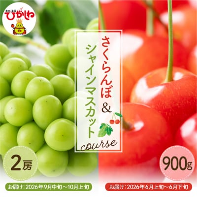 【2026年 2回 定期便】GI東根さくらんぼandシャインマスカットコース hi999-047