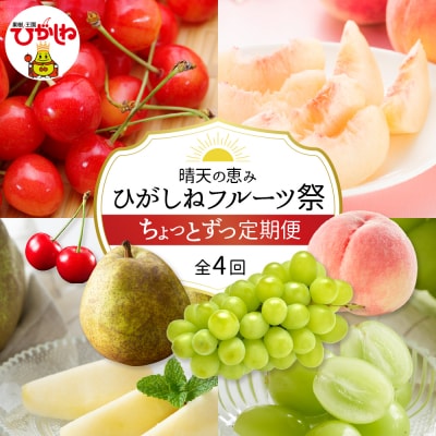 【2025年産先行受付】ひがしねフルーツ祭 ちょっとずつ定期便!全4回(2025年6月からスタート)
