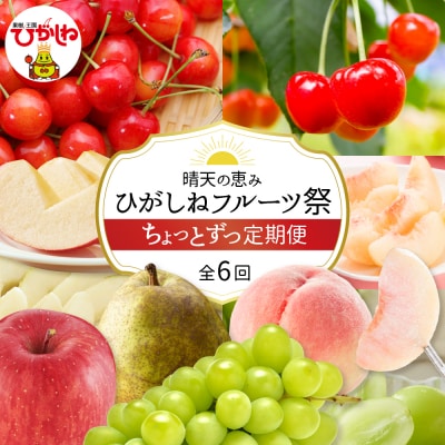 【2026年産先行予約】ひがしねフルーツ祭 ちょっとずつ定期便!全6回(2026年6月からスタート)