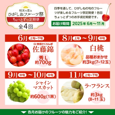 【2025年産先行受付】ひがしねフルーツ祭 ちょっとずつ定期便!全4回(2025年6月からスタート)