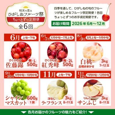 【2026年産先行予約】ひがしねフルーツ祭 ちょっとずつ定期便!全6回(2026年6月からスタート)
