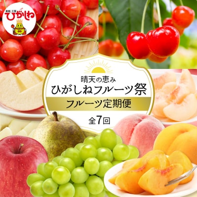 【定期便】晴天の恵み!ひがしねフルーツ祭!全7回 (2024年6月中旬からスタート)