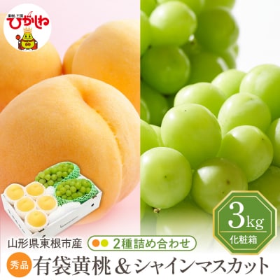 【2025年 先行受付】 東根市産 有袋黄桃【品種おまかせ】秀品&シャインマスカット詰め合わせ3kg