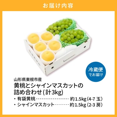 【2025年 先行受付】 東根市産 有袋黄桃【品種おまかせ】秀品&シャインマスカット詰め合わせ3kg