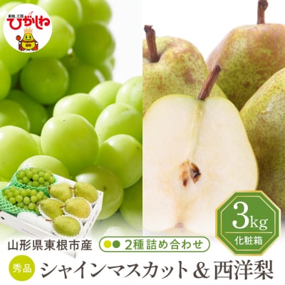 【2026年】東根市産 シャインマスカット&西洋梨 詰め合わせ 3kg 秀品 hi027-242