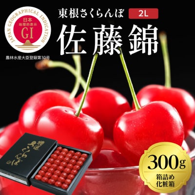 2025年さくらんぼ「佐藤錦」300g化粧箱詰め(2L) 東根農産センター提供 山形県 東根市 