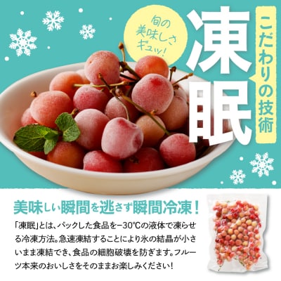 【瞬間冷凍】さくらんぼ「佐藤錦」500g化粧箱入り　hi004-hi027-018r