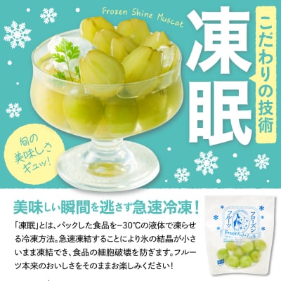 【急速冷凍】東根市産 シャインマスカット 100g×5袋 東根農産センター提供 hi027-245