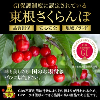 2026年 GI東根さくらんぼ「紅秀峰」1kgバラ詰め(500g×2パック) 秀品 Lサイズ