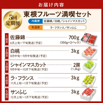 【2026年 全5回定期便】東根フルーツ満喫セット (6月からスタート)hi027-237