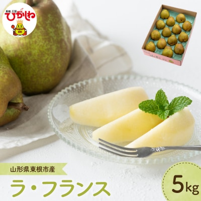 【2026年産】 洋なし「ラ・フランス」 5kg よってけポポラ提供 hi003-168