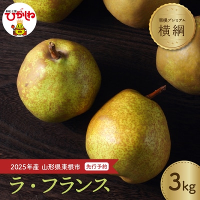 2025年産洋なし「【横綱】ラ・フランス」3kg JA提供 hi003-135-2