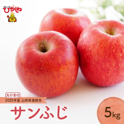 【2025年産 先行受付】りんご「サンふじ」5kg JA提供 山形県 東根市　hi003-138-2