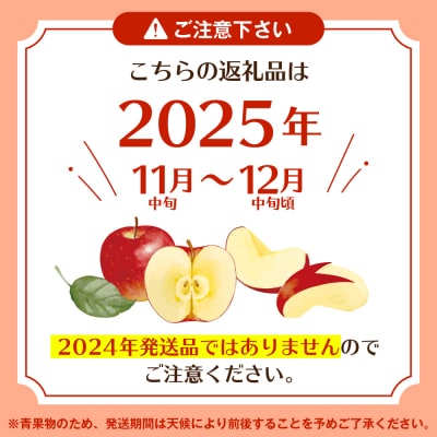 【2025年産 先行受付】りんご「サンふじ」5kg JA提供 山形県 東根市　hi003-138-2