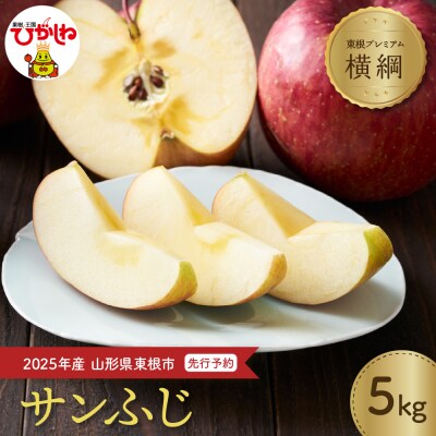 【2025年産先行受付】りんご「【横綱】サンふじ」5kg JA提供 hi003-140-2