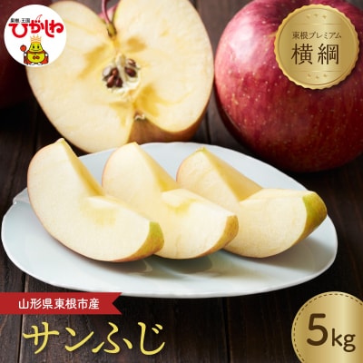 【2026年産】 りんご「【横綱】サンふじ」 5kg よってけポポラ提供 hi003-174