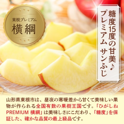 【2026年産】 りんご「【横綱】サンふじ」 5kg よってけポポラ提供 hi003-174