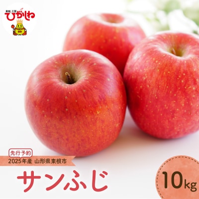 【2025年産先行受付】りんご「サンふじ」10kg JA提供 hi003-139-2