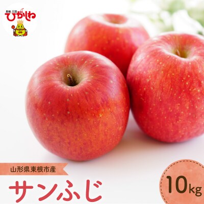 【2026年産】りんご「サンふじ」10kg よってけポポラ提供 hi003-173
