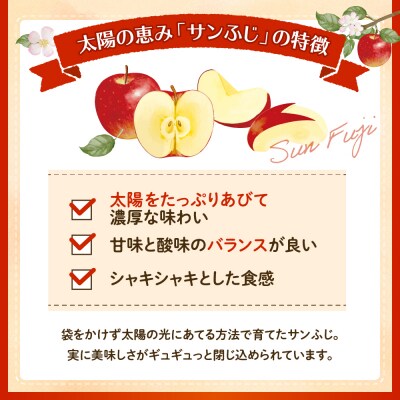 【2026年産】りんご「サンふじ」3kg よってけポポラ提供 hi003-171