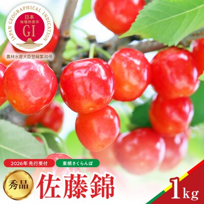 【2026年産　先行予約】佐藤錦 秀品 1kg 山形県 東根市　hi062-045