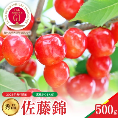 【先行受付】2025年 さくらんぼ 佐藤錦 秀品 500g hi004-hi062-037-2