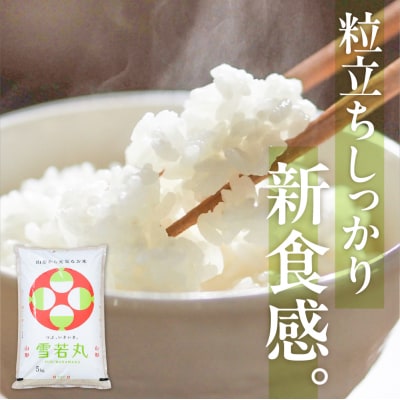 【令和7年産米】☆2026年2月前半発送☆  雪若丸 5kg hi003-147-021-2