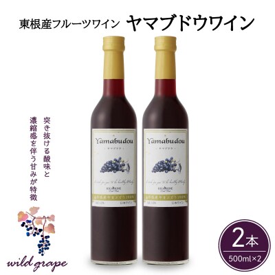 ヤマブドウワイン500ml×2本セット 山形県 東根市 hi108-002