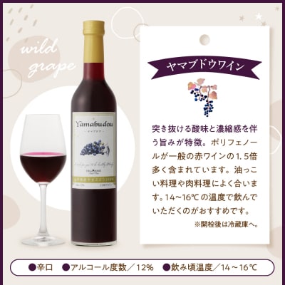 ヤマブドウワイン500ml×2本セット 山形県 東根市 hi108-002