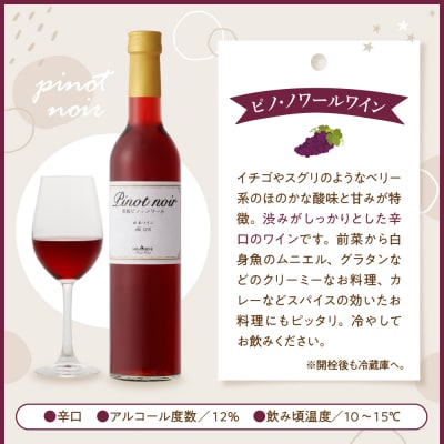 ピノ・ノワールワイン500ml×2本セット 山形県 東根市 hi108-001