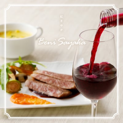 紅さやかワイン 500ml×2本セット 山形県 東根市 紅さやか ワイン hi108-004