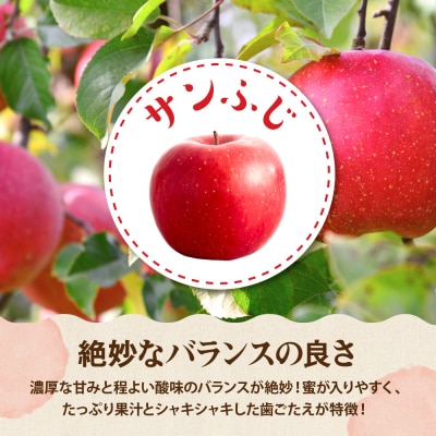 【2026年産】りんご サンふじ 3kg 秀品 化粧箱入り 東根市 hi027-205-r8