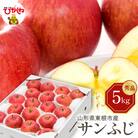 【令和7年産】りんご サンふじ 5kg(秀品) 東根市 hi027-206-2